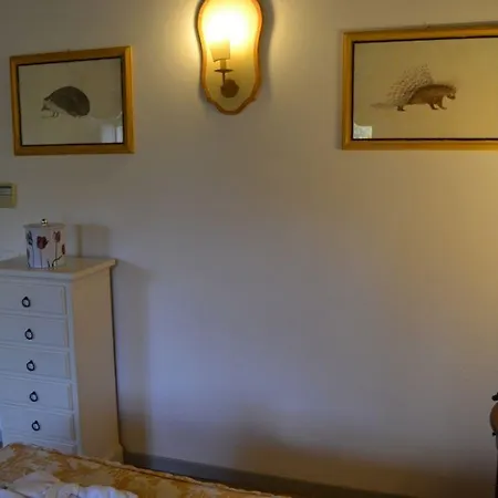 מלון Terme Di Stigliano קנאלה מונטראנו