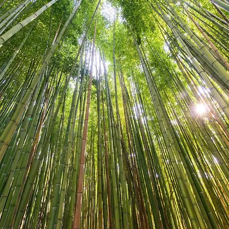 Terme Di Stigliano מלון קנאלה מונטראנו