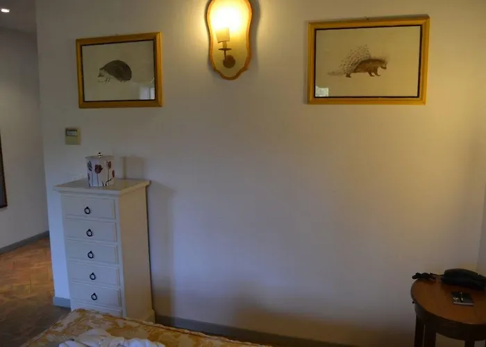 酒店 Terme Di Stigliano 卡纳莱蒙特拉诺